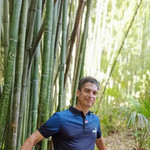 , 52 (16 , 0 )